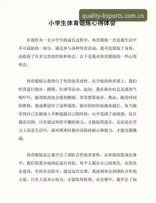 BSports体育深度使用心得：从数据查询到离线功能的全维度体验